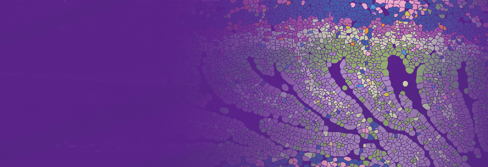 Stereo-seq OMNI for FFPE Solution